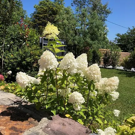 Bed & Breakfast La Ferme D'ika Saint-Jean-de-Luz