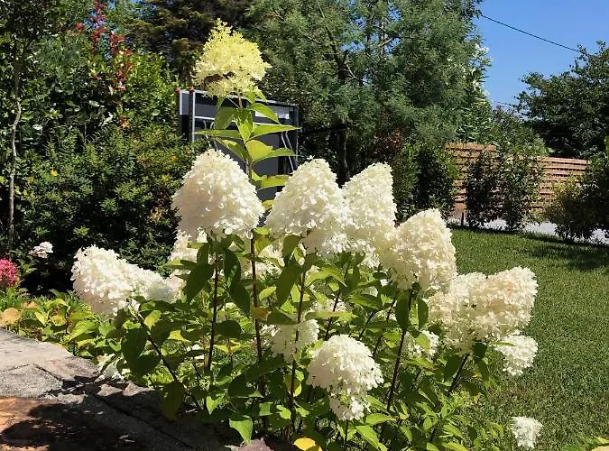 לינה וארוחת בוקר La Ferme D'ika סן-ז'אן-דה-לוז